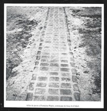 1981 -- JOUY LE CHATEL . ALLEE DE PAVES A FONTAINE PEPIN . 4C032