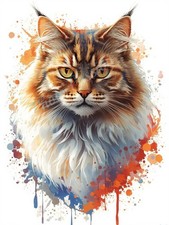 Photo A4 Chat Persan Art