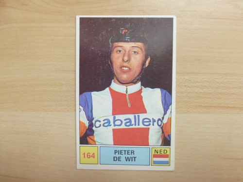 164 pieter wit - 164,