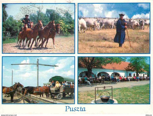 Carte postale hongrie - -,