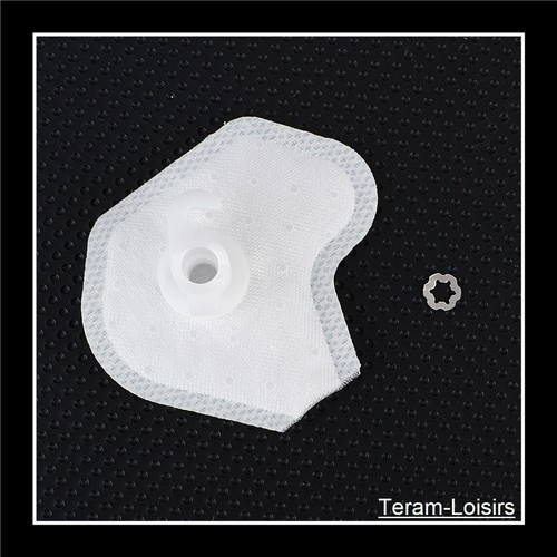 Filtre pompe essence pour - filtre, à