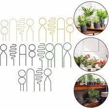 Support Plante Grimpante