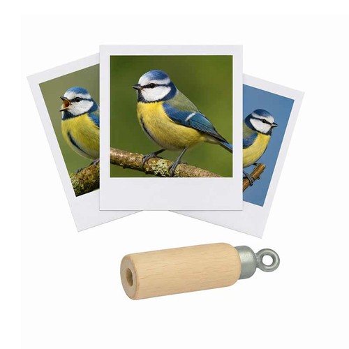 Appeau oiseau mésange - appeau,