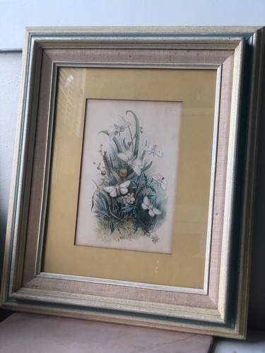 Antique framed bookplate - antique,
