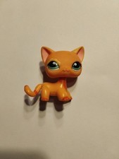 Petshop European Cat 1643