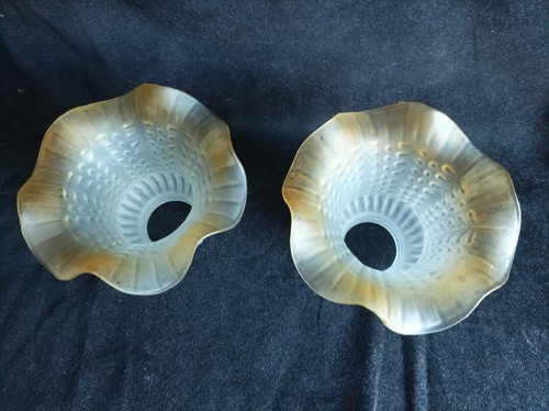 Paire tulipes en - paire,