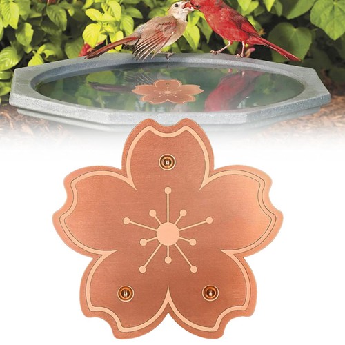 Nettoyeur bain oiseau cuivre - oiseau,