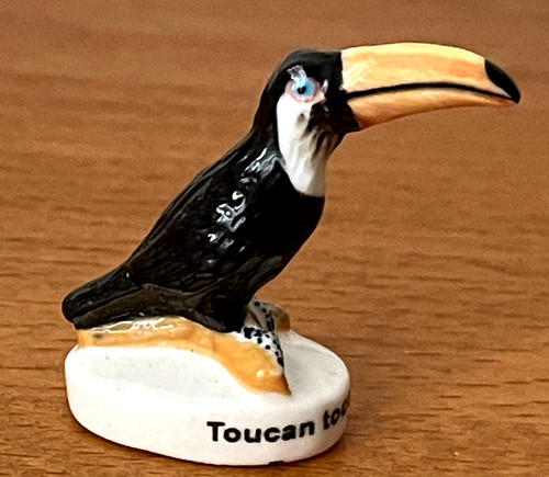 Magnifique fève toucan - toucan, toco