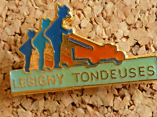 Pin pins badge - pin's,