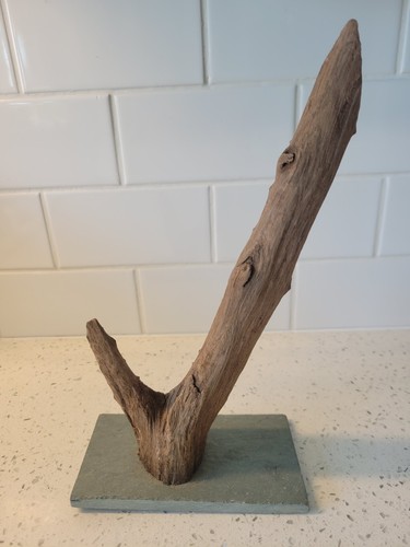 Natural driftwood mounted - driftwood, on