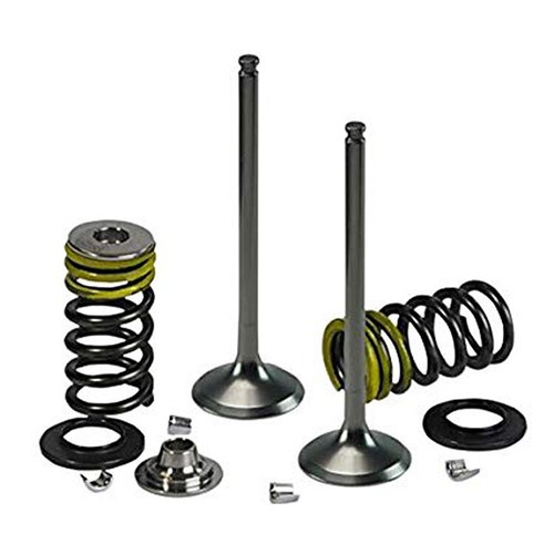 Psychic intake valve - intake, for