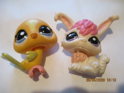 Petshop duo paon - paon, +