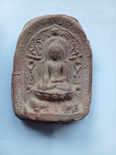 Tibet rare tsa - rare,