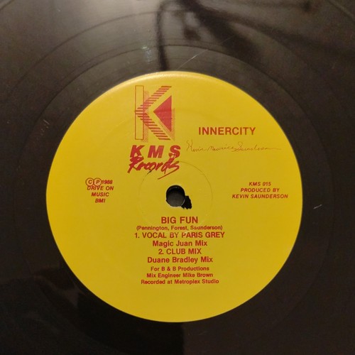 House techno inner city - house/,