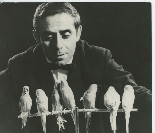 Man with parakeets - l'man,