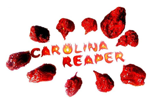 Carolina reaper piment entier - carolina,