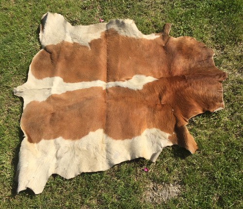 Ancien tapis peau vache - tapis,