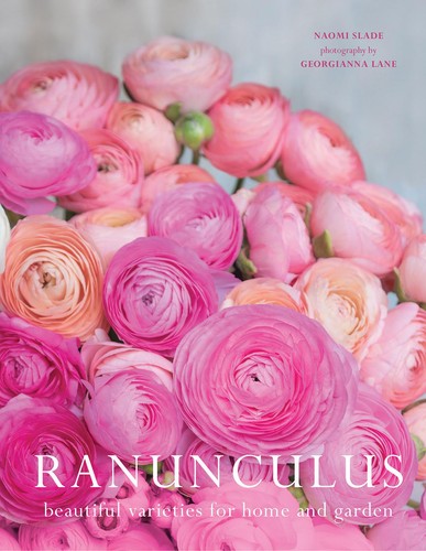 Ranunculus beautiful - ranunculus:,