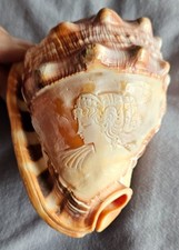 Coquillage vintage gravé en