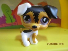 Petshop Dog Jack Russell #803