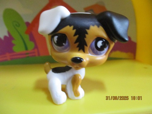 Petshop chien jack - chien,