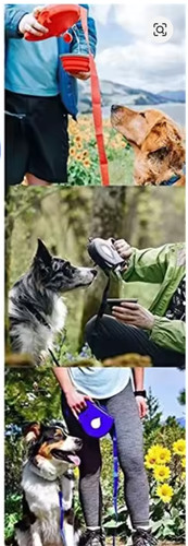Laisse chien avec - avec, eau