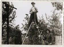 ANTIQUE PHOTO - VINTAGE