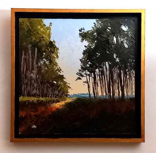 Paysage clair obscur - paysage,