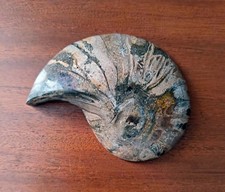 Fossile Ammonite polie – 11x8,5 cm – Jurassique / Crétacé – Madagascar