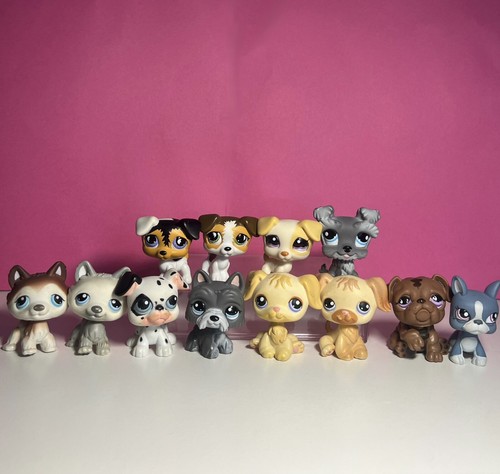 Littlest pet shop - pet,