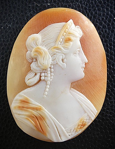 Xixè camee coquille - femme, en