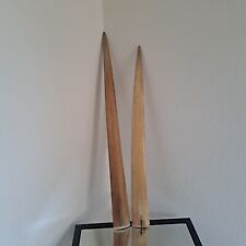 Taxidermie, 2 véritables