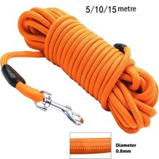 Laisse Chien Nylon Longue 5m