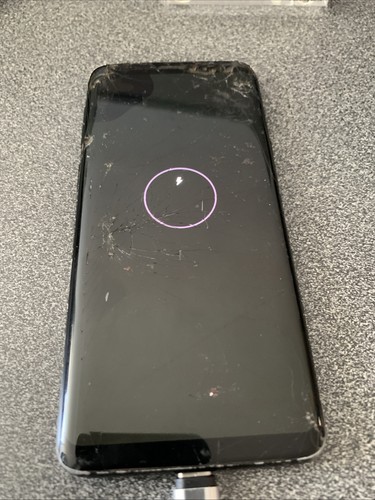 Samsung galaxy dual - galaxy, sim