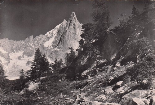 Chamonix aiguille dru - du,