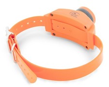 Collier beeper suppl. de