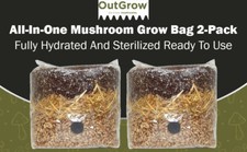 All in One Mushroom Grow Bag
