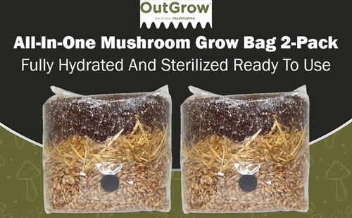 All one mushroom grow bag - all,