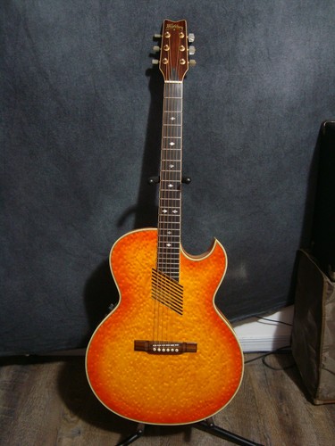 Early 90s washburn - early, ea36