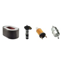 Kit Filtre Pour Sdmo SD6000 E
