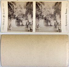India, Buffalo Cart and Family with Small Kids Vintage Stereo Card,