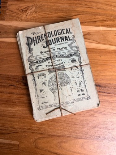 Antique 1896 phrenological - antique,
