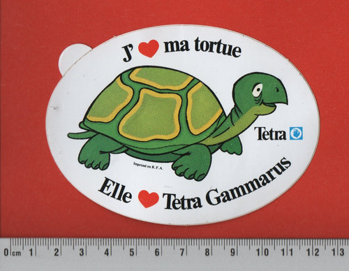 Tetra gammarus - ❤,