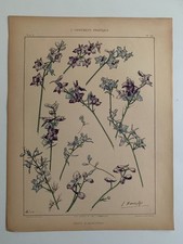 J.HABERT-DYS PLANCHE