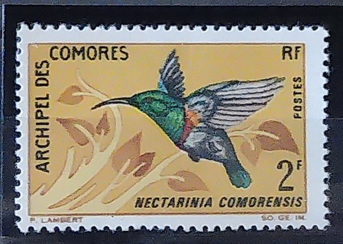 Comores colonie française - comores,