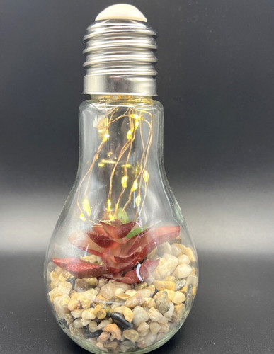Plant glass bulb - glass,