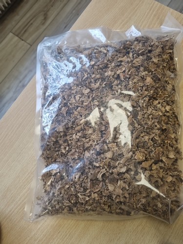 Queues morilles kg - , 1