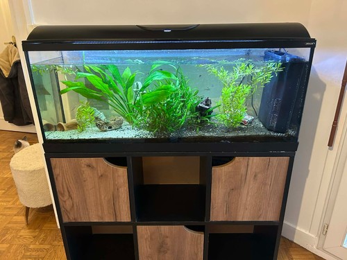 Aquarium 100 zolux - 100,