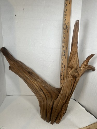 Driftwood taxidermy terrarium - driftwood,