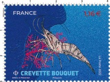 Stamps 2022 - Coquillages et crustacés Crevette Bouquet - Y&T 5556